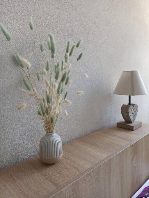 Appartement Cosy Au Coeur Du Mercantour Valdeblore Luaran gambar